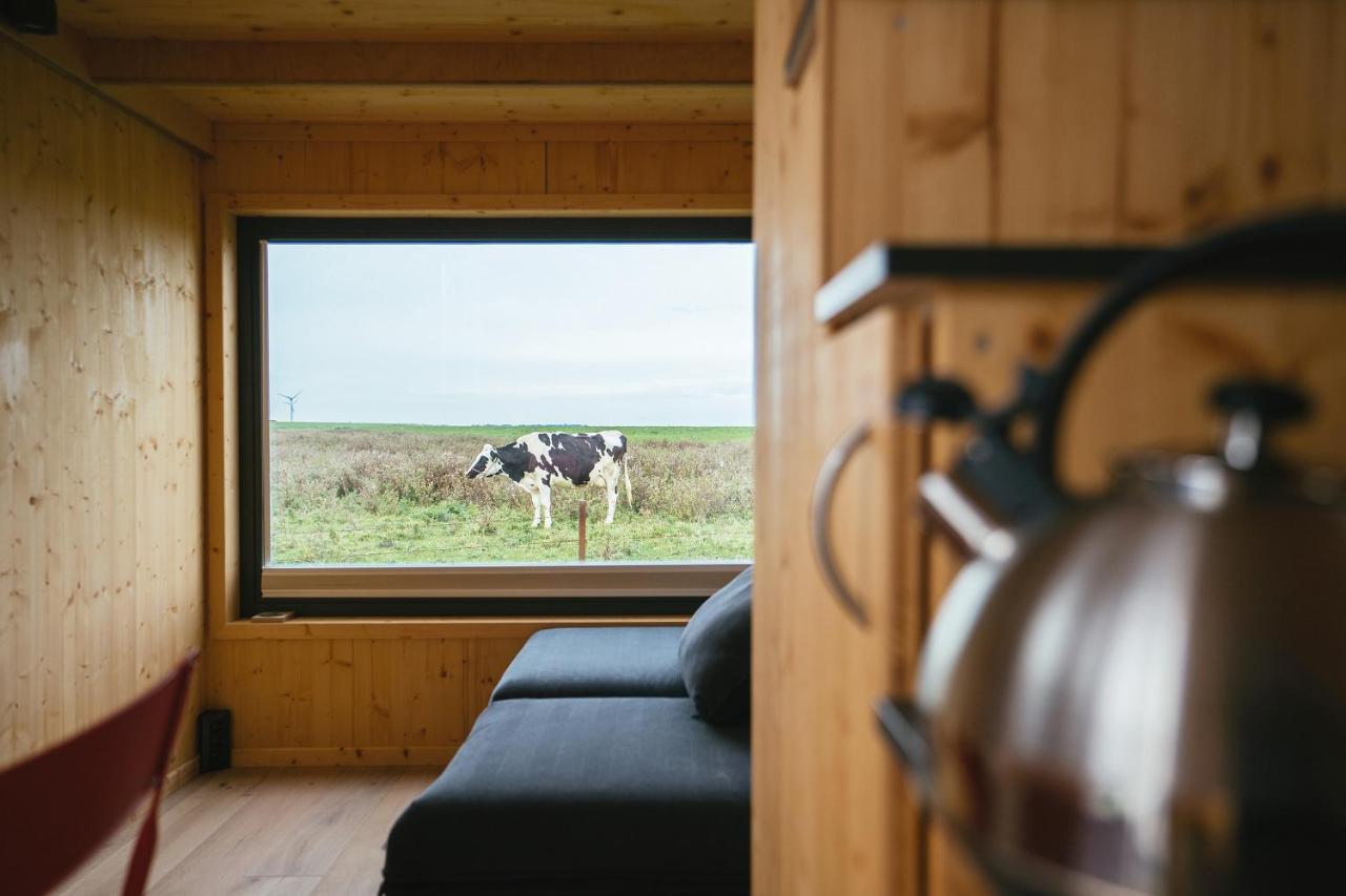 Tiny House Nature 13 Zur Kuhweide - Green Tiny Village Harlesiel Каролинензиль Экстерьер фото